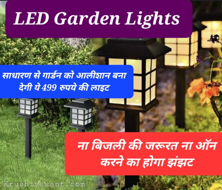 Led Garden Lights साधारण से गार्डन को आलीशान बना देगी ये 499 रुपये की लाइट, ना बिजली की जरूरत ना ऑन करने का होगा झंझट