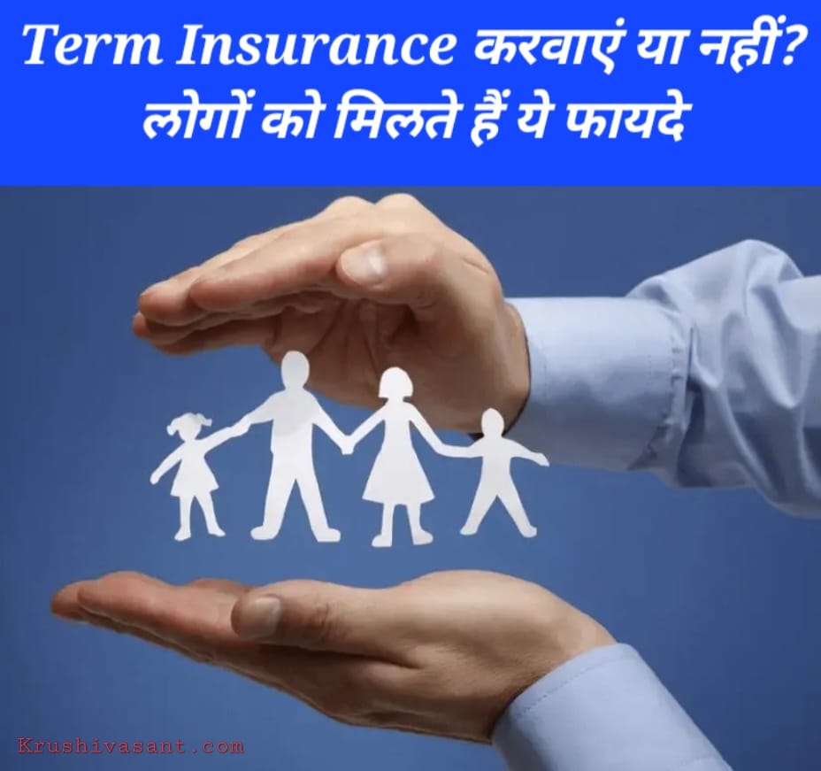 Term Insurance करवाएं या नहीं? लोगों को मिलते हैं ये फायदे
