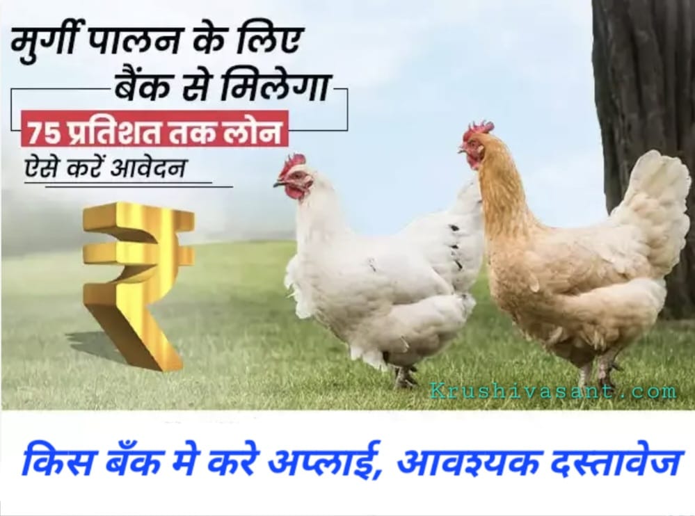 Ib poultry contract farming मुर्गी पालन के लिए मिलेगा ₹9 लाख तक का लोन