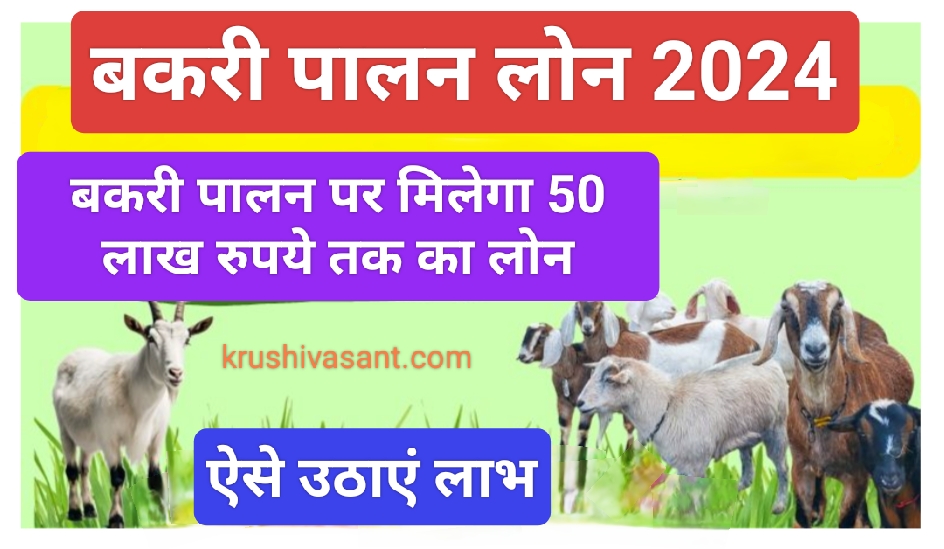 Bakri Palan loan अच्छी खबर! अब बकरी पालन पर मिलेगा 50 लाख रुपये तक का लोन, ऐसे उठाएं लाभ