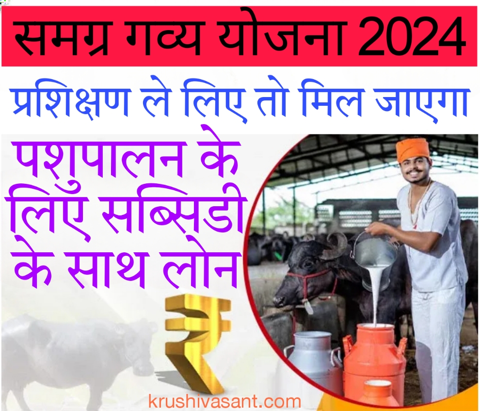 Pashupalan loan समग्र गव्य योजना से प्रशिक्षण ले लिए तो मिल जाएगा पशुपालन के लिए 75 प्रतिशत की सब्सिडी के साथ लोन, ऐसे करें आवेदन