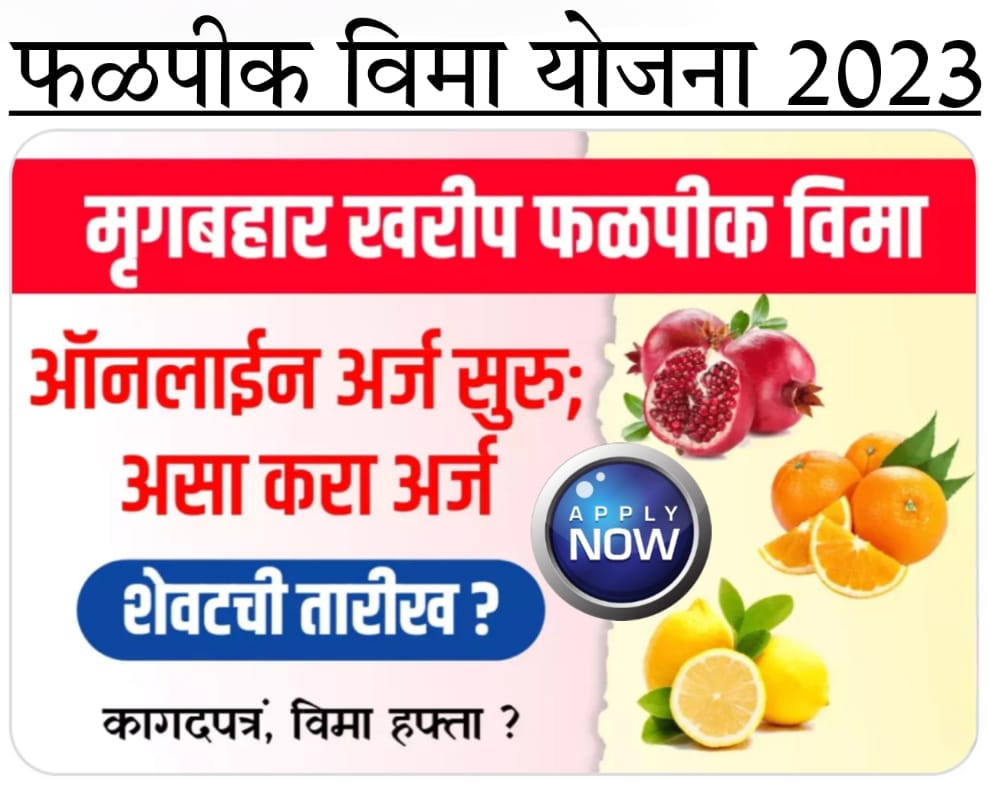 Agriculture blogs Fal Pik Vima Yojana फळपीक विमा 2023 साठी अर्ज सुरू अशी करा ऑनलाईन नोंदणी | Fal Pik Vima Yojana 2023