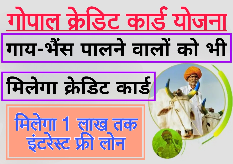 gopal credit card गाय-भैंस पालने वालों को भी मिलेगा क्रेडिट कार्ड, ₹1 लाख तक ले सकेंगे इंटरेस्ट फ्री लोन