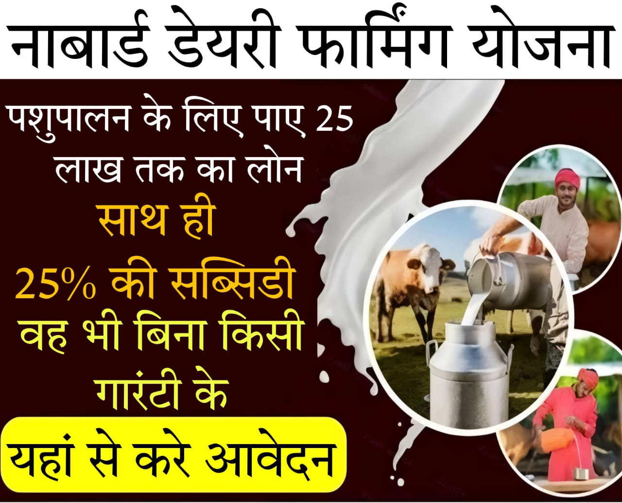 cow loan scheme