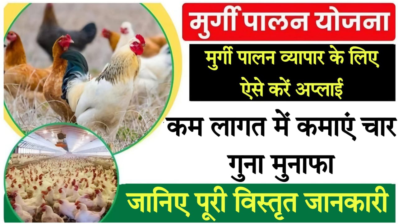 poultry farming project